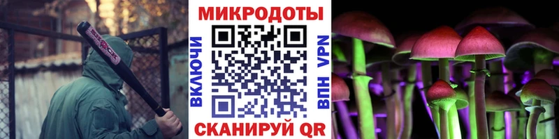 Псилоцибиновые грибы MAGIC MUSHROOMS  купить закладку  сайты даркнета телеграм  Валуйки 